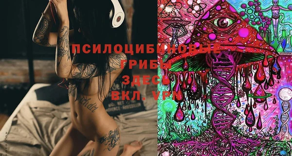 ECSTASY Пестово